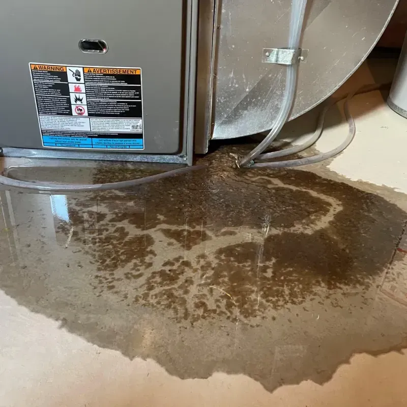 Appliance Leak Cleanup in Oakbrook, KY